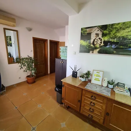 Sobe Nedovic بيت ضيافة بودفا