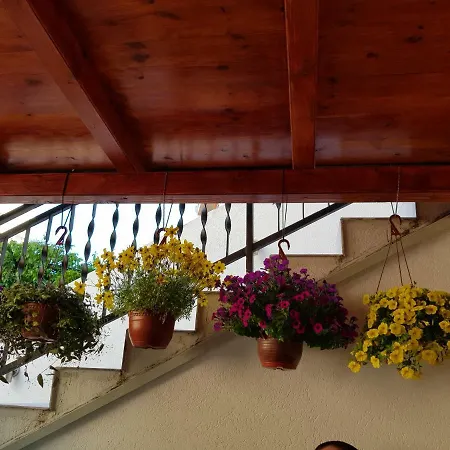 Sobe Nedovic بيت ضيافة